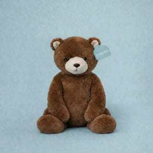 Brown teddy bear with a 'Huggie' tag on a light blue background
