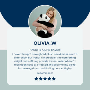 Hugsio Pandie the Panda weighted plush - anxiety relief life-saver companion