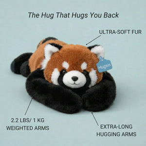 Hugsio Rockie the Raccoon weighted companion - feel the hug sensation