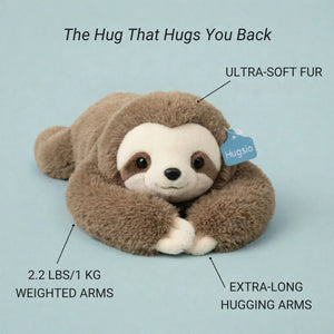Plush sloth toy with features highlighted on a light blue background